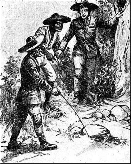 Illustration