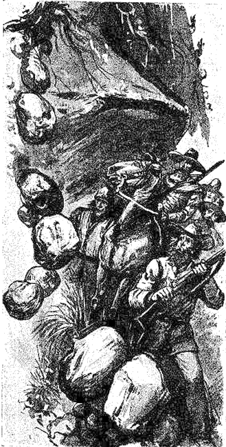 Illustration