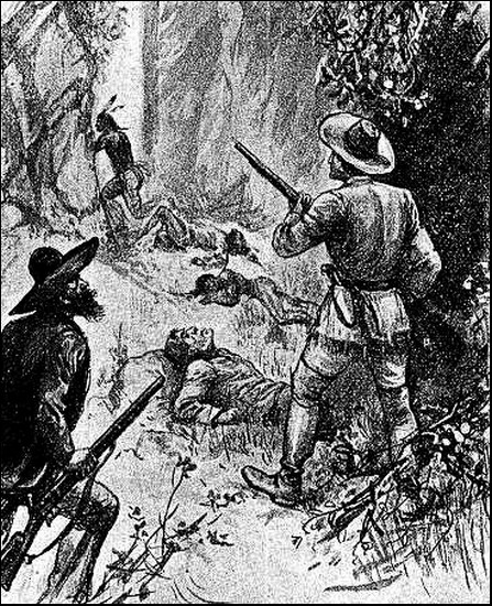 Illustration