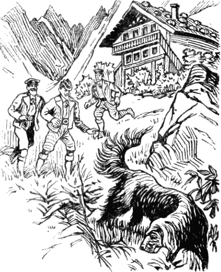 Illustration