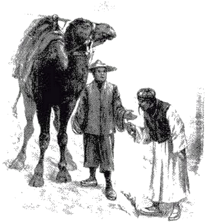 Illustration