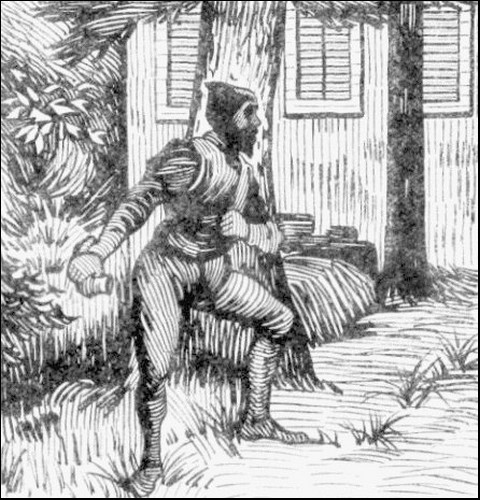 Illustration