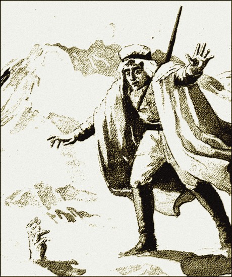 Illustration