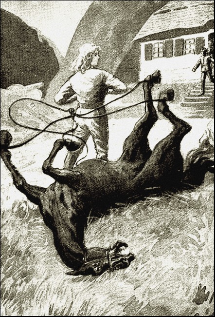 Illustration
