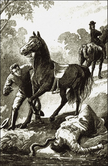 Illustration