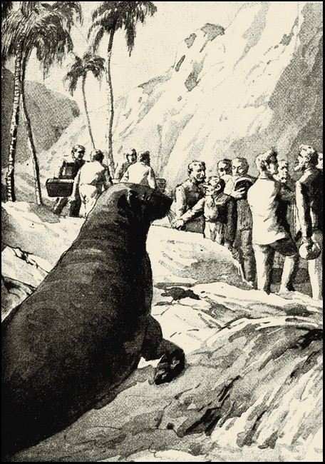 Illustration