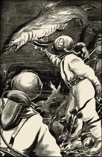 Illustration