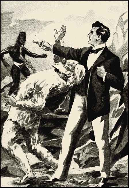 Illustration