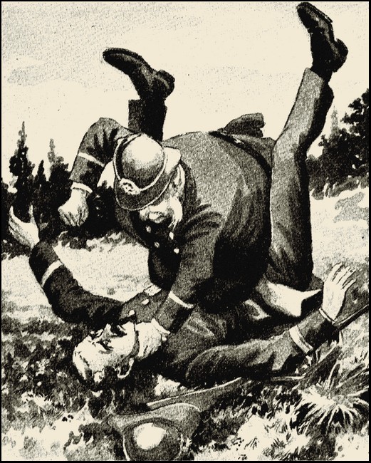 Illustration