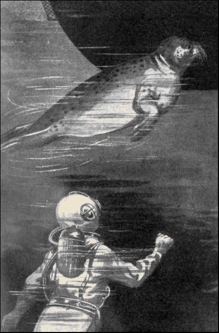 Illustration