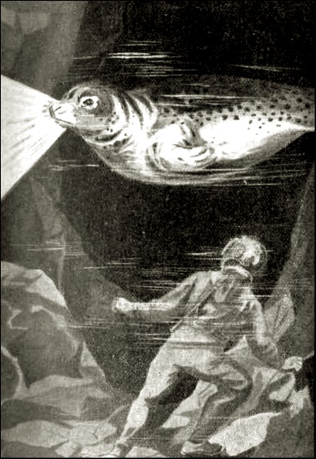 Illustration