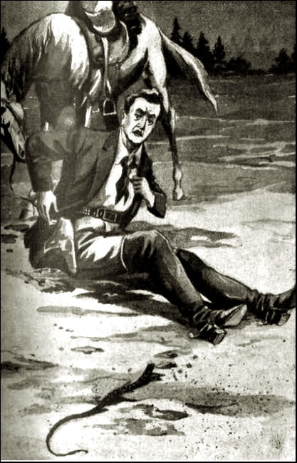 Illustration