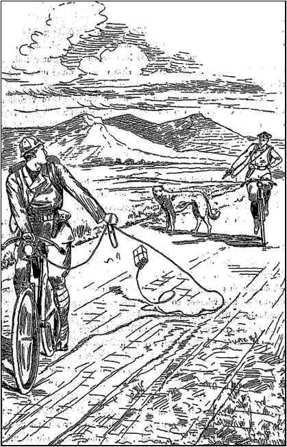 Illustration