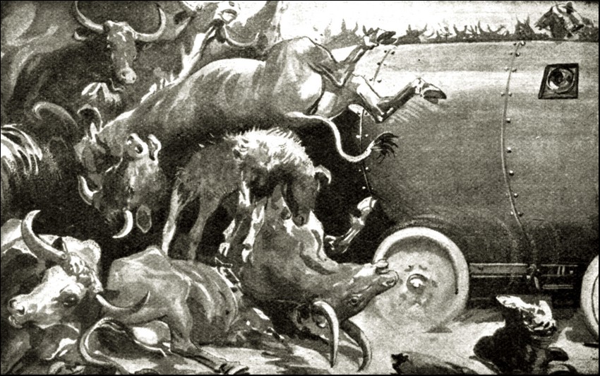Illustration