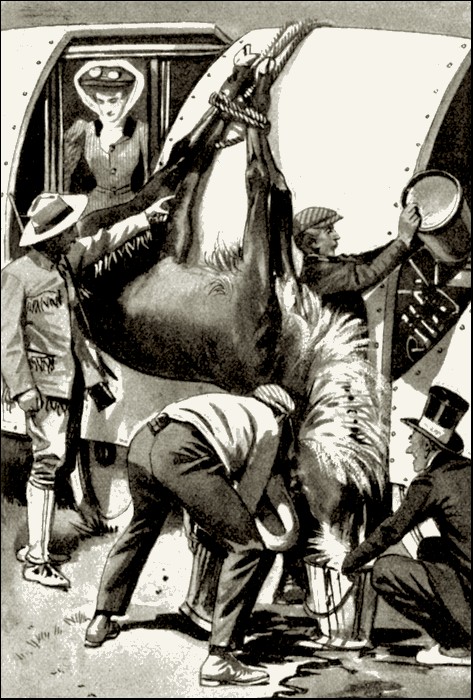 Illustration