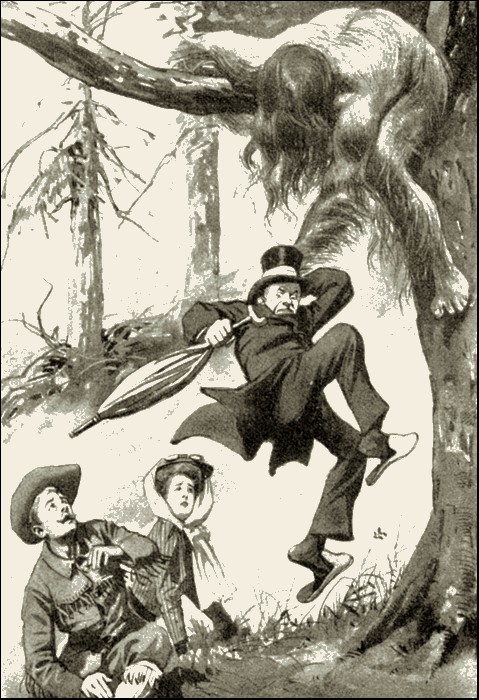 Illustration