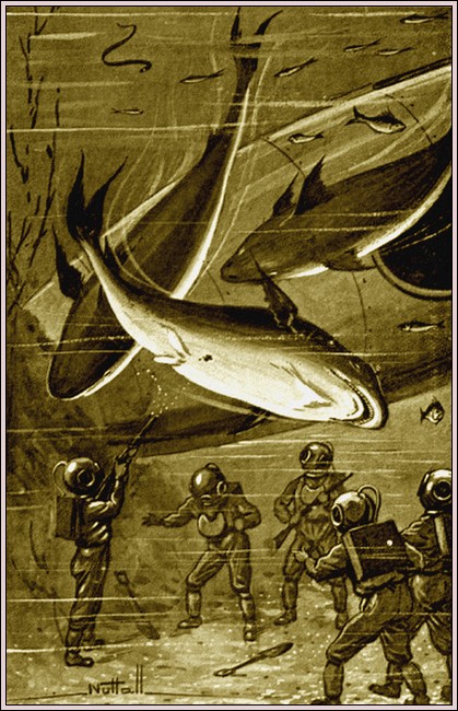Illustration