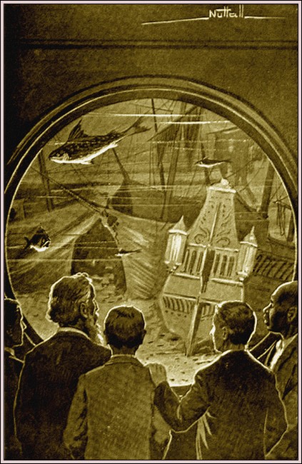 Illustration