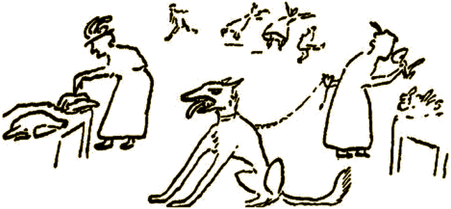Illustration