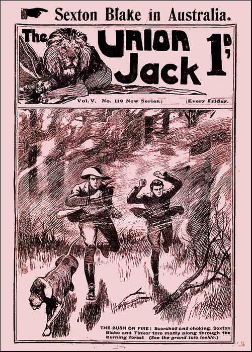 Cover Image