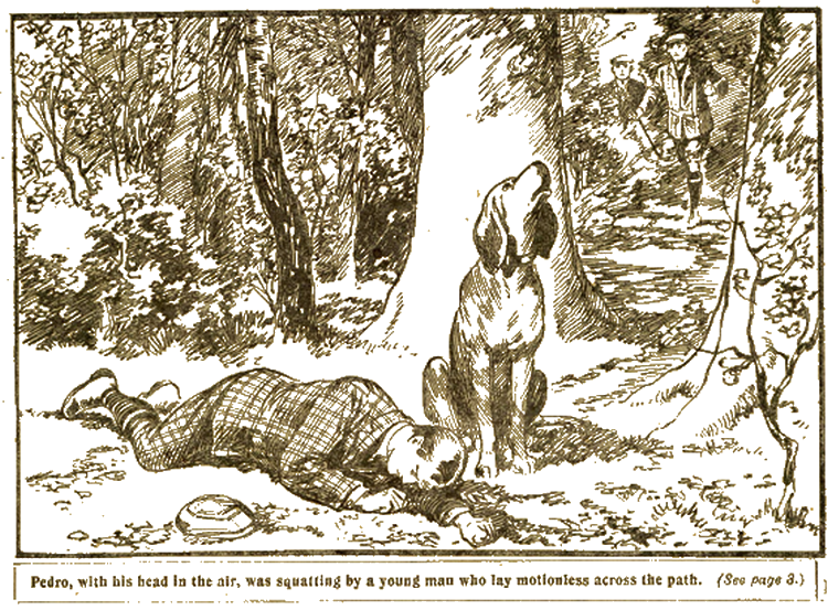 Illustration