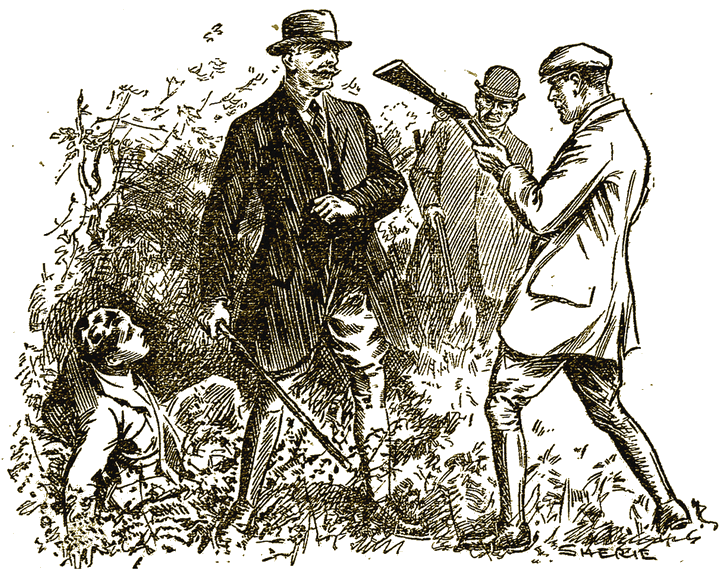 Illustration