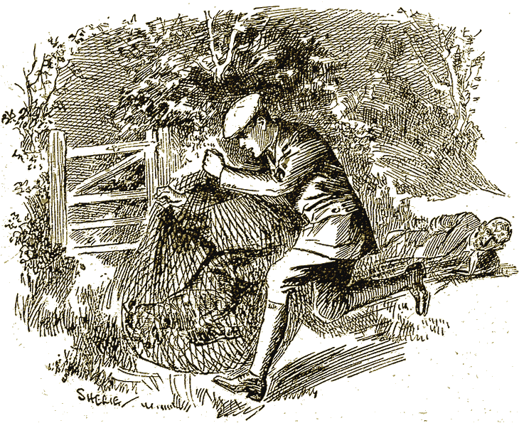 Illustration