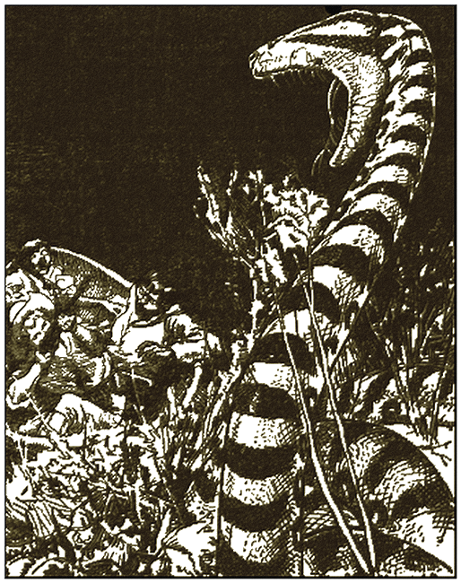 Illustration
