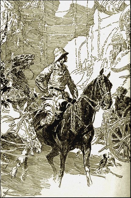 Illustration