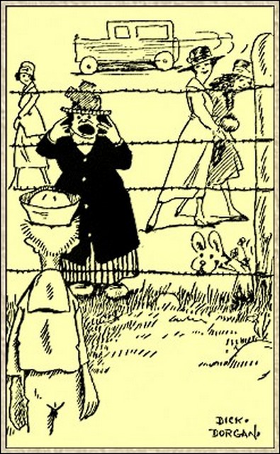 Illustration