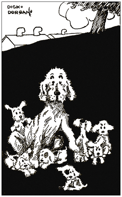 Illustration