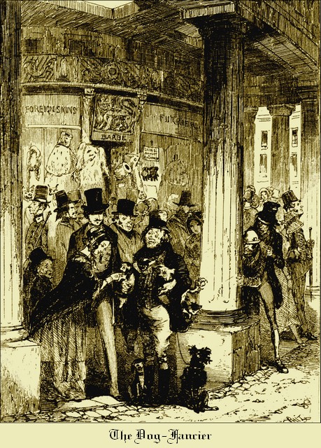 Illustration
