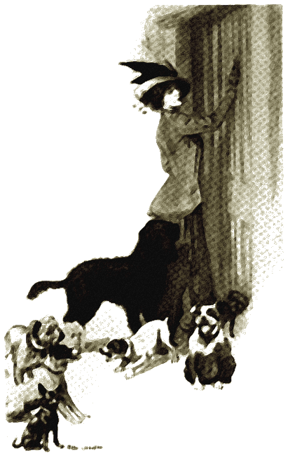 Illustration